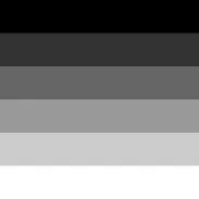 creator The straight guy's avatar