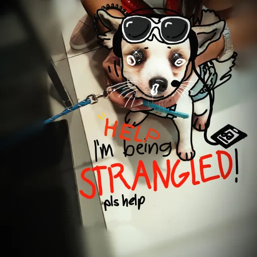 creator DaP.ai.nterSimp's avatar