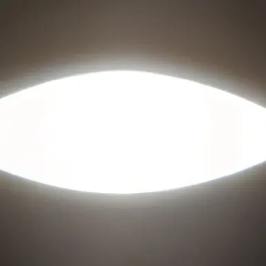 chat with ai character: BSD