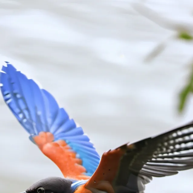 chat with ai character: Nicky