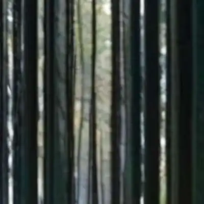 chat with ai character: Purple grass