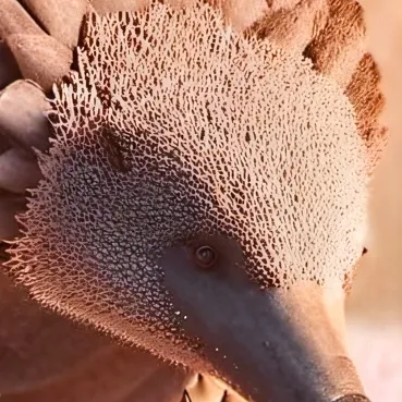 chat with ai character: Idk