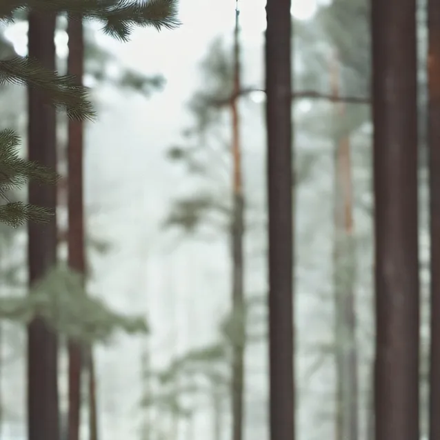 chat with ai character: Tommy