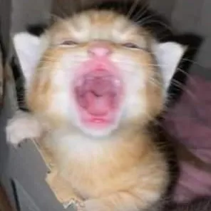 creator Rxtenlxl's avatar