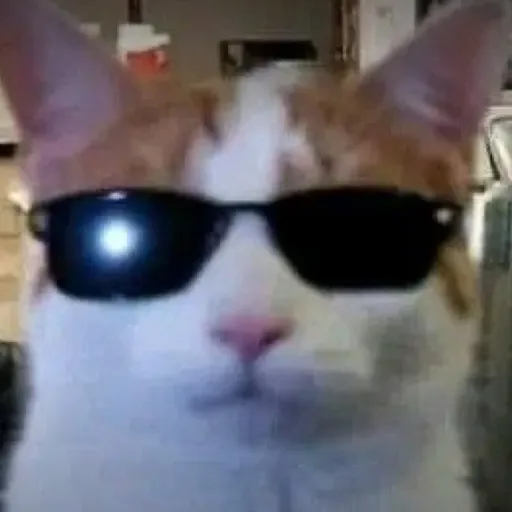 creator Catman guy meow😎's avatar