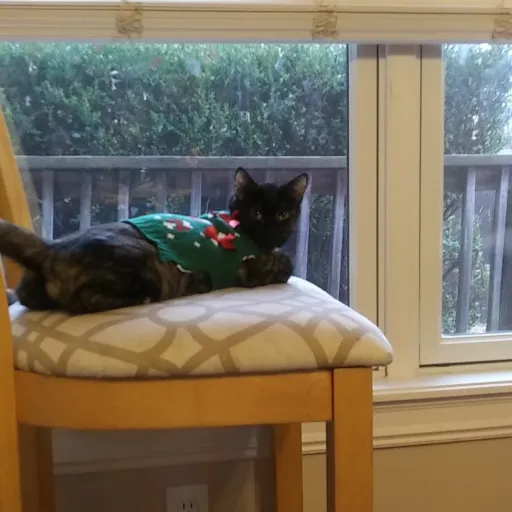 creator azrealllll's avatar