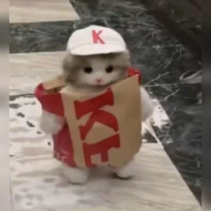 creator kitty project🔗's avatar