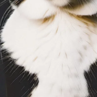 chat with ai character: Tall tail