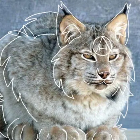 creator Ellaisia_OnPaws's avatar