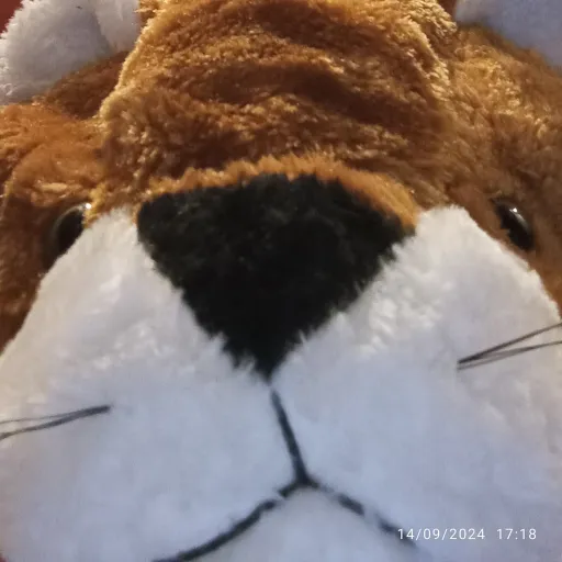 creator P I Z Z Y ラフィー's avatar