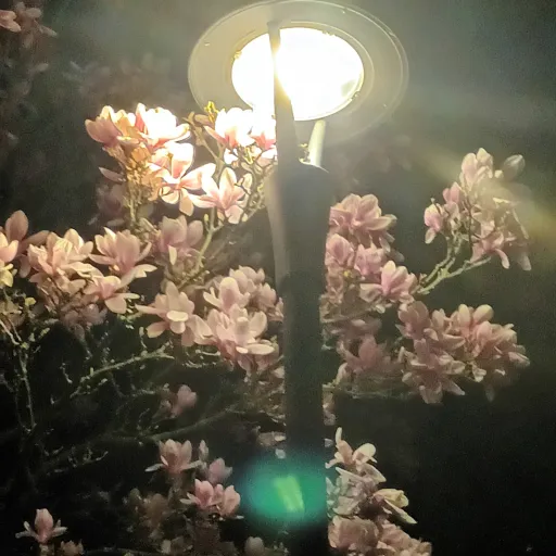 creator I'm.Jamie's avatar