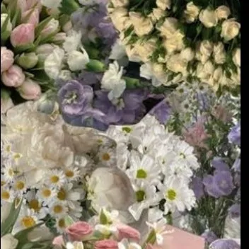 creator ♡SOPHIE♡'s avatar