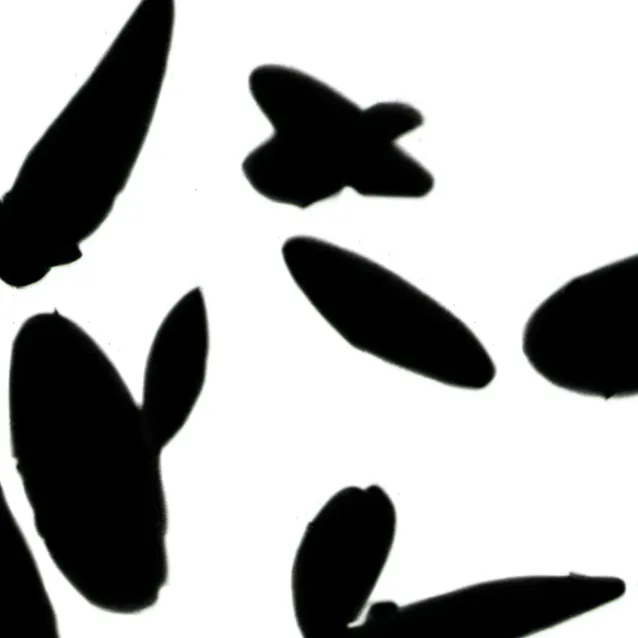 chat with ai character: vitamin delicious 