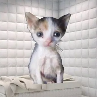 creator QuinPooBear's avatar