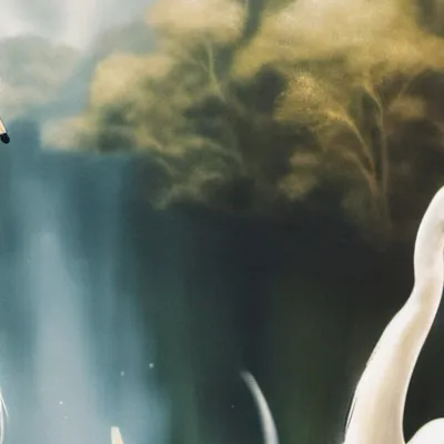 chat with ai character: Caitlin