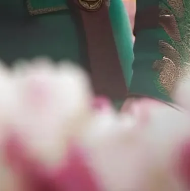 chat with ai character: President Snow 