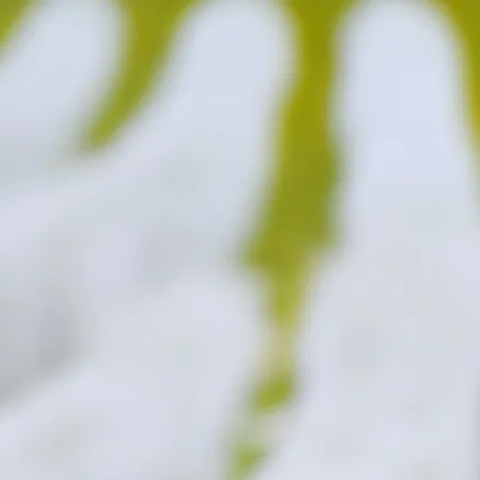 chat with ai character: ur enemy.....