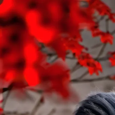 chat with ai character: poppy playtime 3