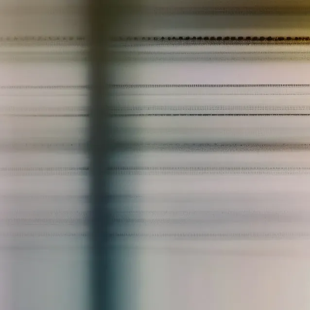 chat with ai character: venus