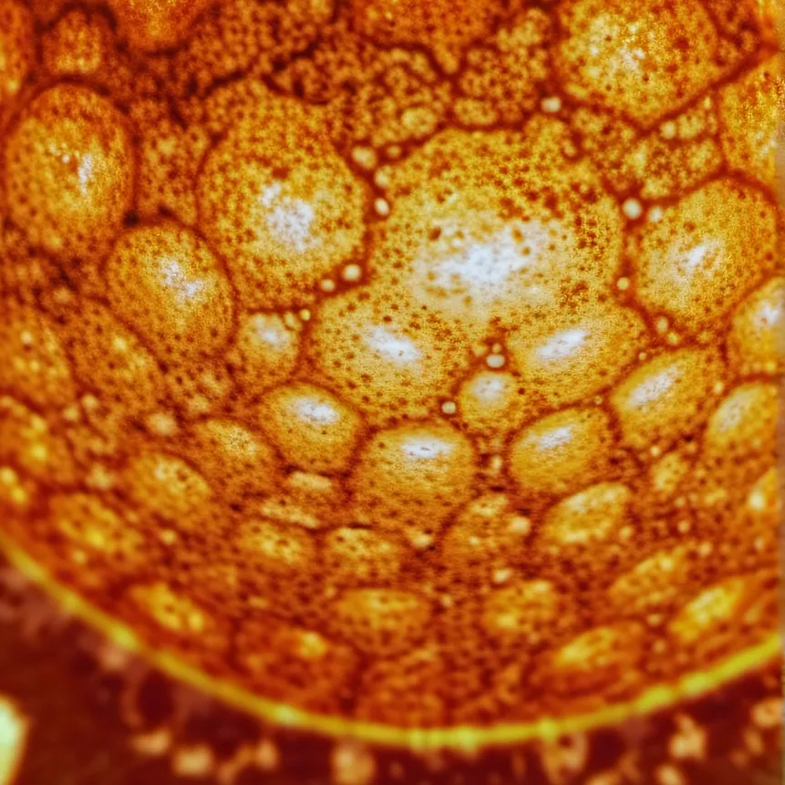 chat with ai character: solar System