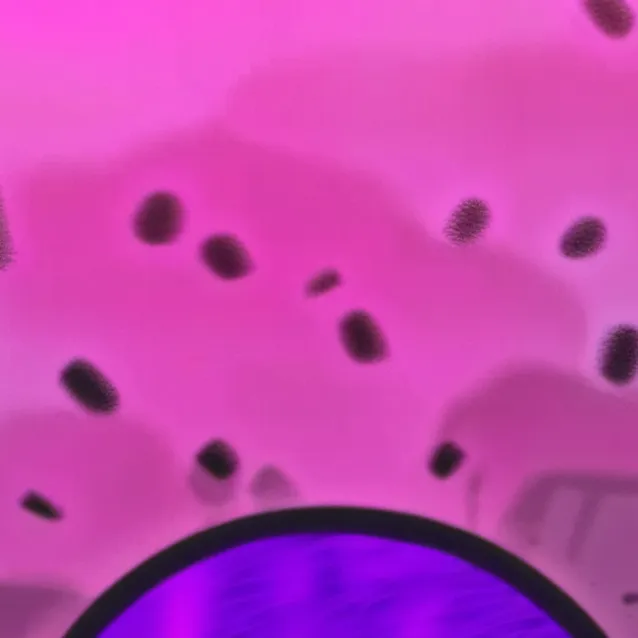 chat with ai character: WIND FROM THE LAND