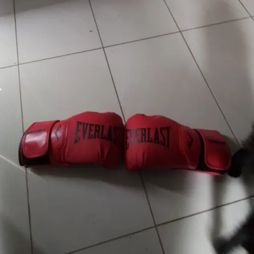 creator im-bord's avatar