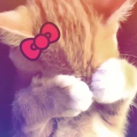 creator someonedelulu😔's avatar