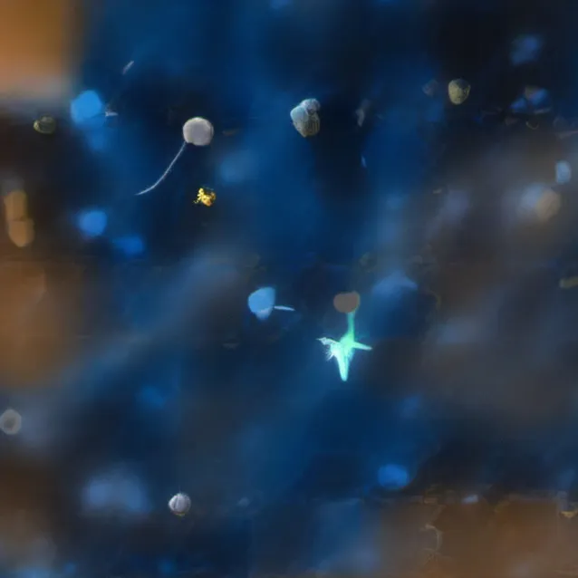 chat with ai character: Solar system ★