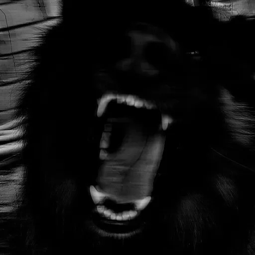 creator χοη's avatar