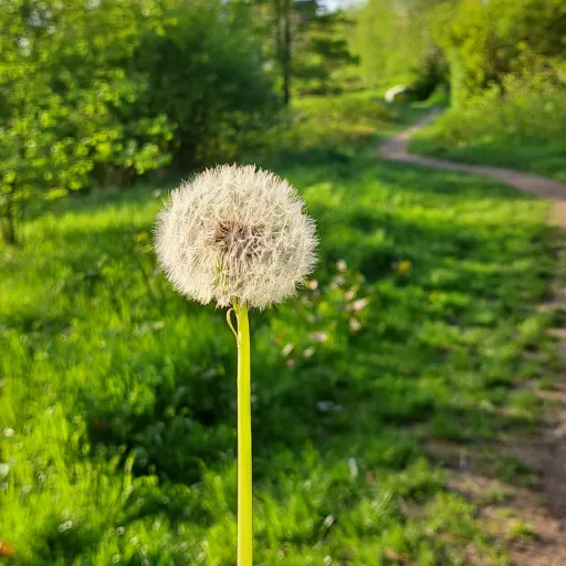 creator Heyy :)'s avatar