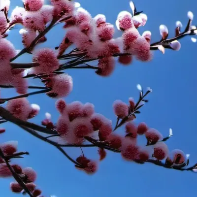 chat with ai character: 🌈🫦💦🥵🌈