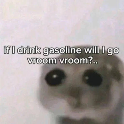 creator |•HUMAIRAA_2•|'s avatar