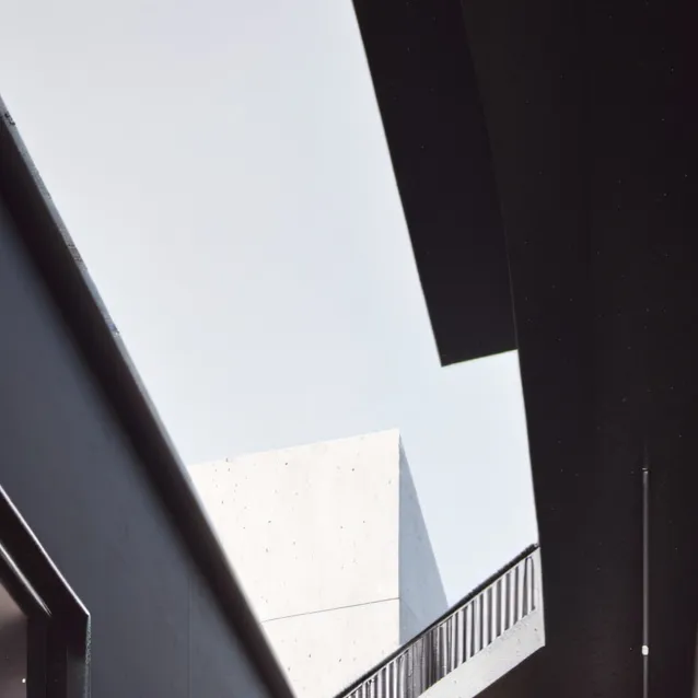 chat with ai character: Lily