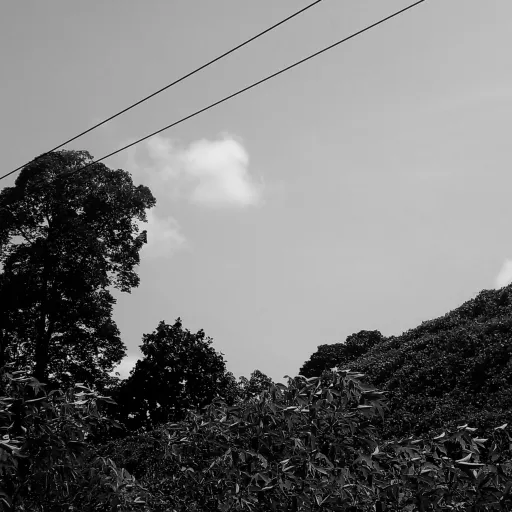 creator Jet4628🎩's avatar