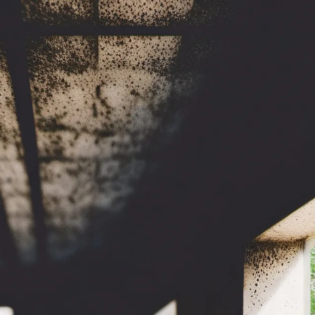 chat with ai character: for nice oliver