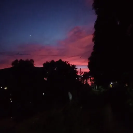 creator Miyoko Makayasa's avatar