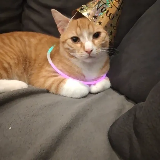 creator forsaken player✨️'s avatar