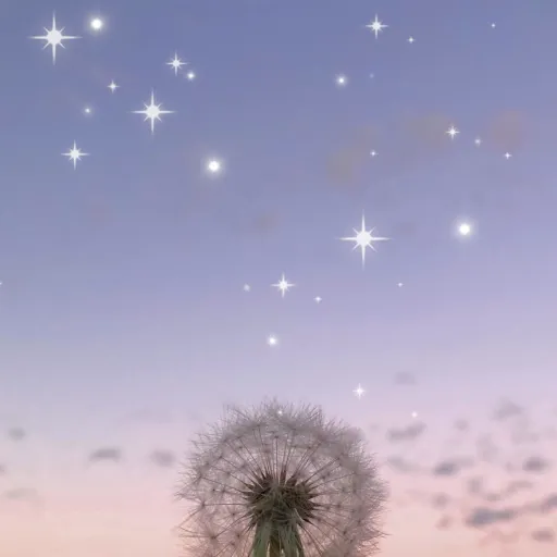 creator Mybiny's avatar