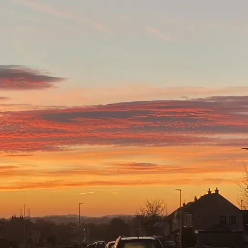 creator ¥~•Asher•~¥'s avatar