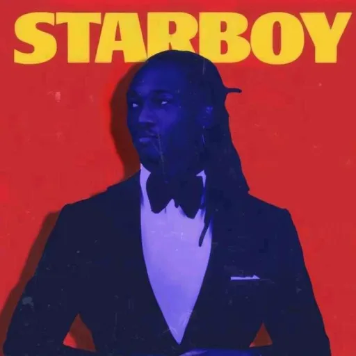 creator liam dhom's avatar