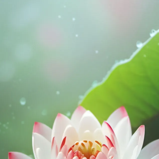 chat with ai character: TF141