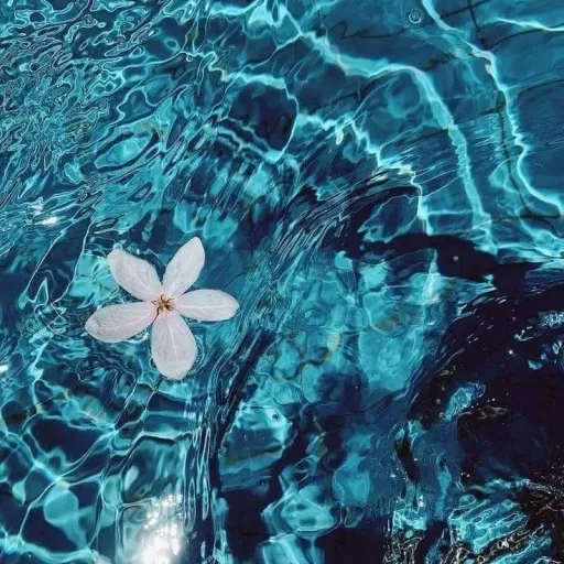 creator ·💙 aurora 🌊·'s avatar