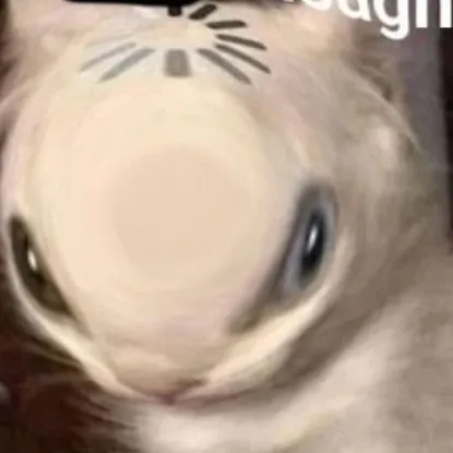 creator {~Axel~}'s avatar