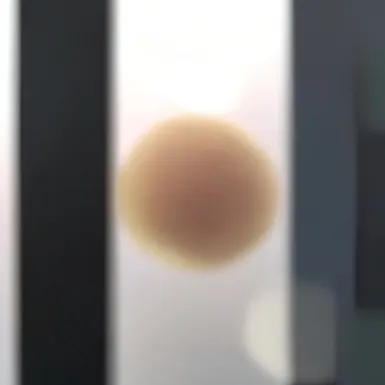 chat with ai character: human dough