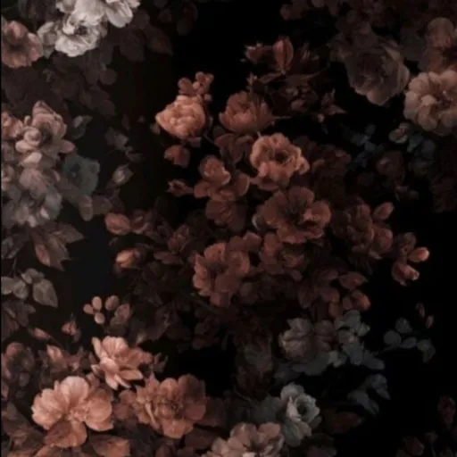 creator Lele22096's avatar