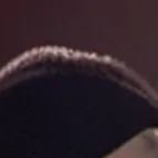 chat with ai character: The Cullen coven