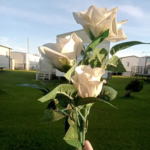 creator •🌷°🌷•'s avatar