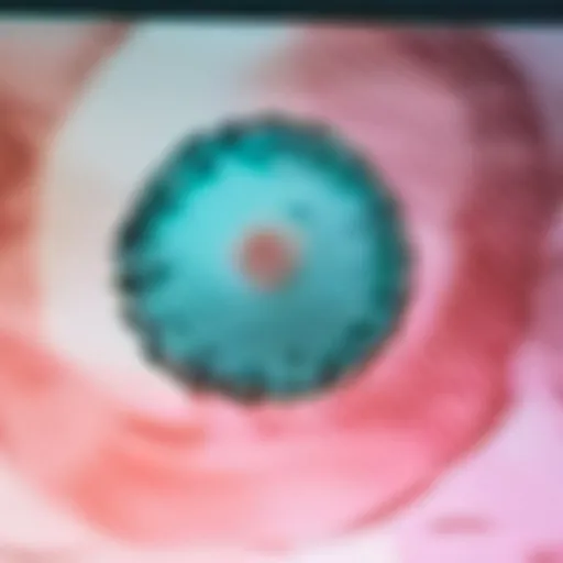 chat with ai character: j