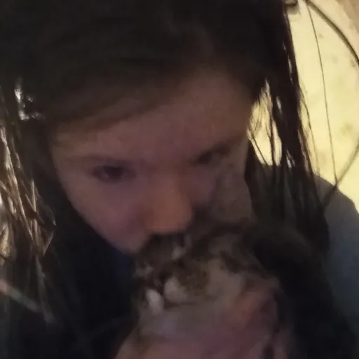 talkie's author avatar