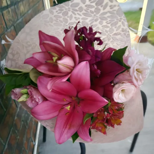 creator indexed's avatar